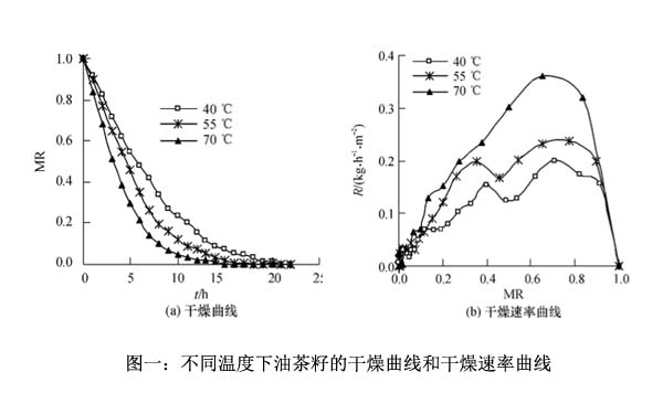 不同溫度下油茶籽的干燥曲線和干燥速率曲線